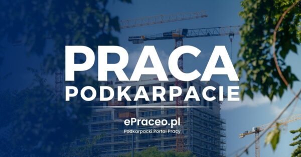 Szukasz nowej pracy? Na Podkarpaciu czekają etaty z pensją do nawet 9 000 zł – lista aktualnych ofert