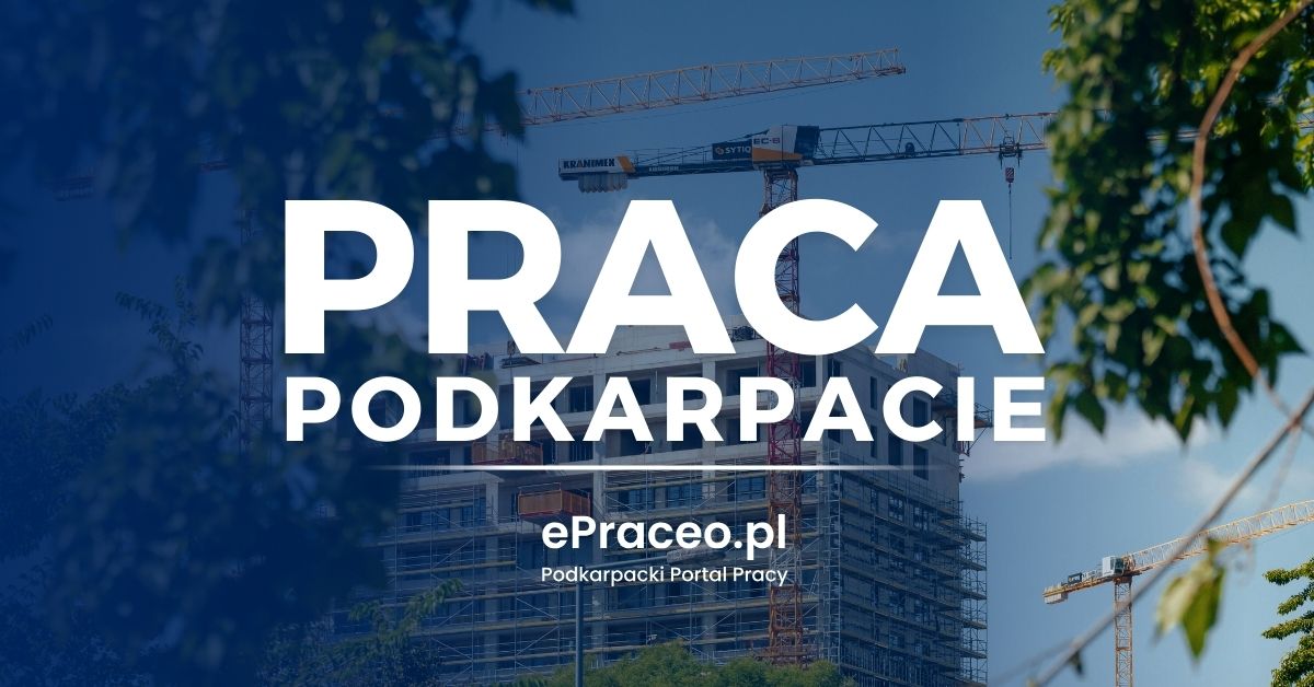 aktualne oferty pracy od pracodawców z podkarpacia - 19 luty 2026